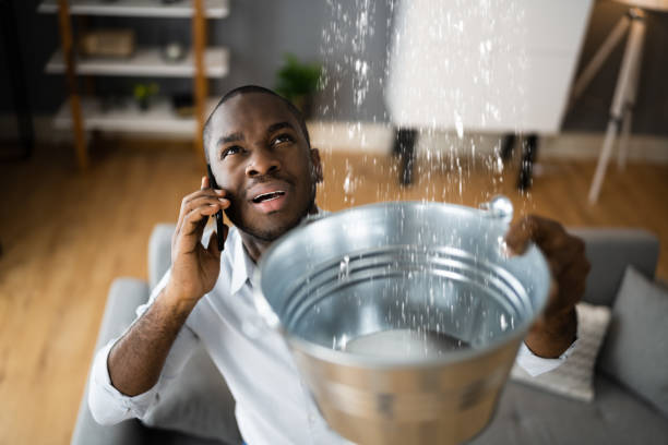 Best Water damage restoration experts  in New Knoxville, OH