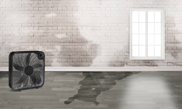 Water damage restoration experts in New Knoxville, OH