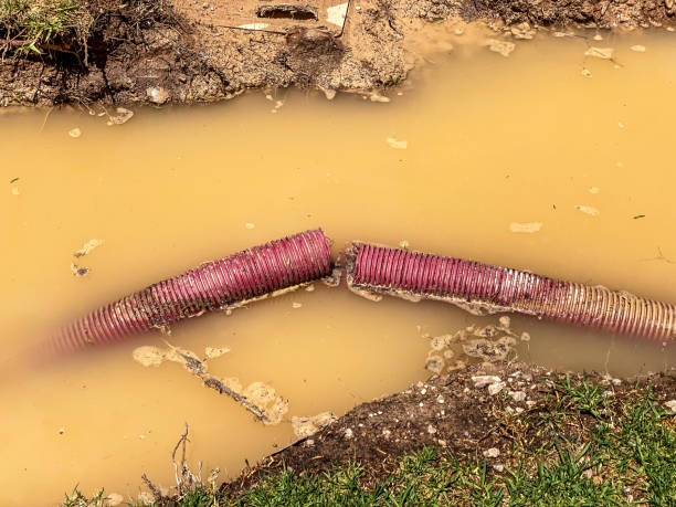 Best Professional water damage repair  in New Knoxville, OH