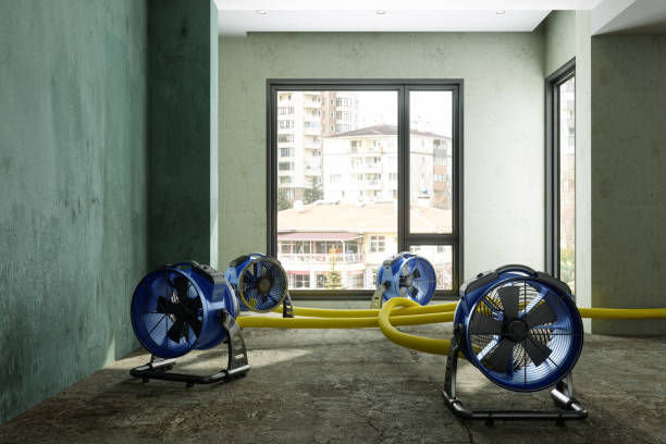 Trusted New Knoxville, OH Water damage restoration Experts