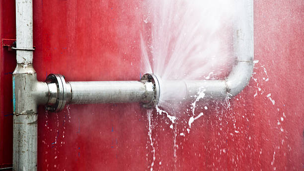 Best Local water damage restoration  in New Knoxville, OH